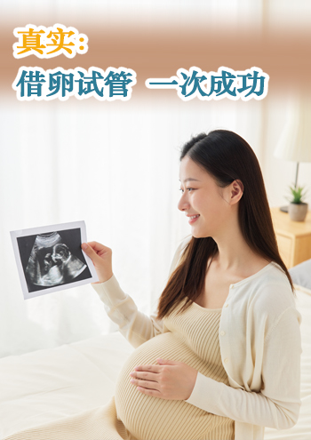 香港代母咨询