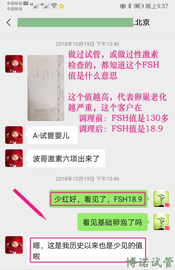 香港代孕医院.jpg