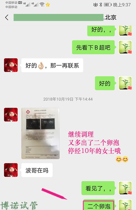 香港代孕流程.jpg