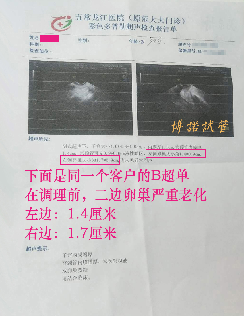 香港代孕医院.jpg