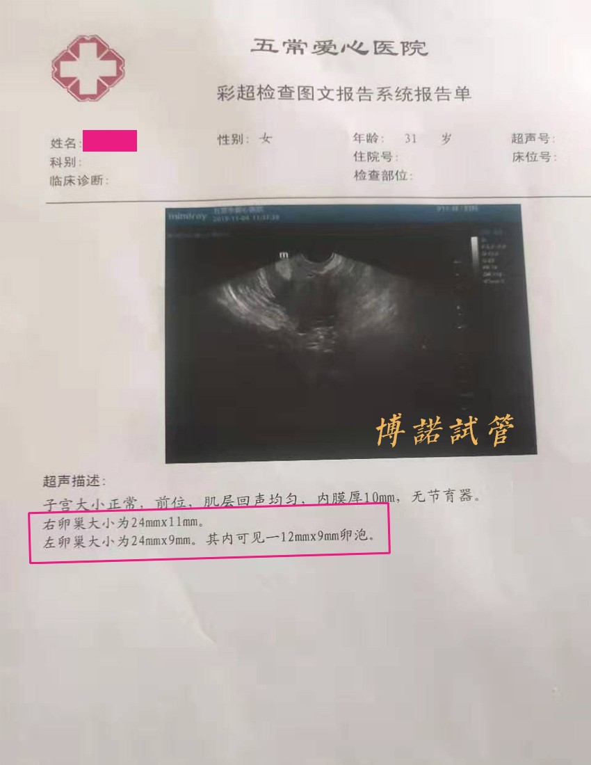 香港代孕流程.jpg