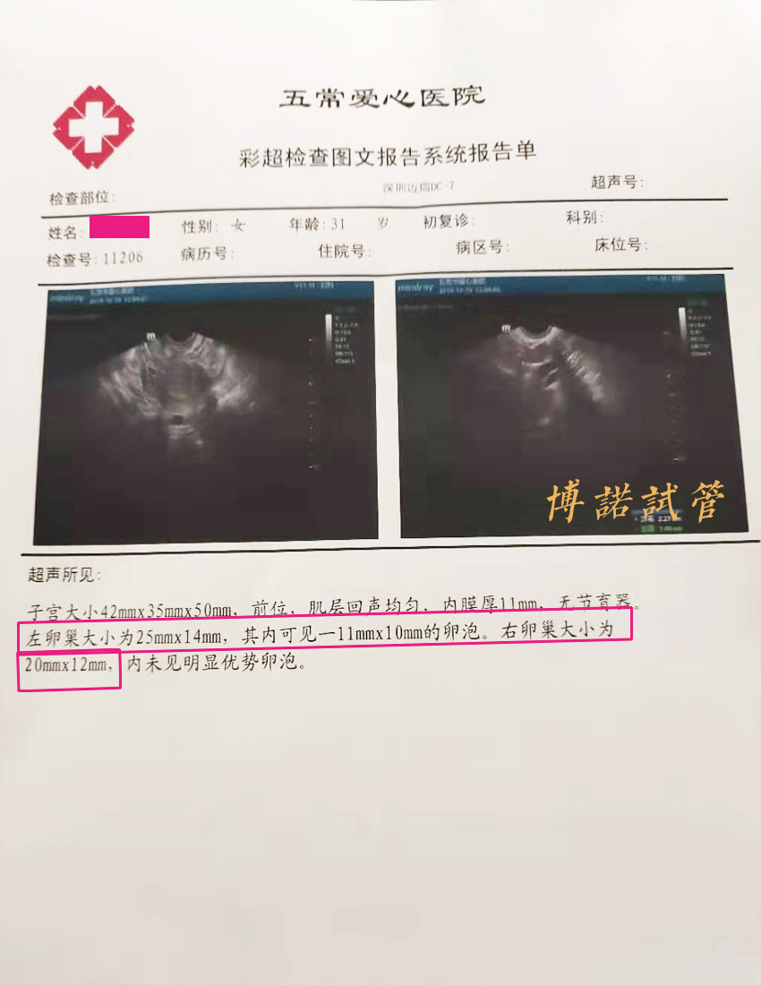 香港代孕妈妈.jpg