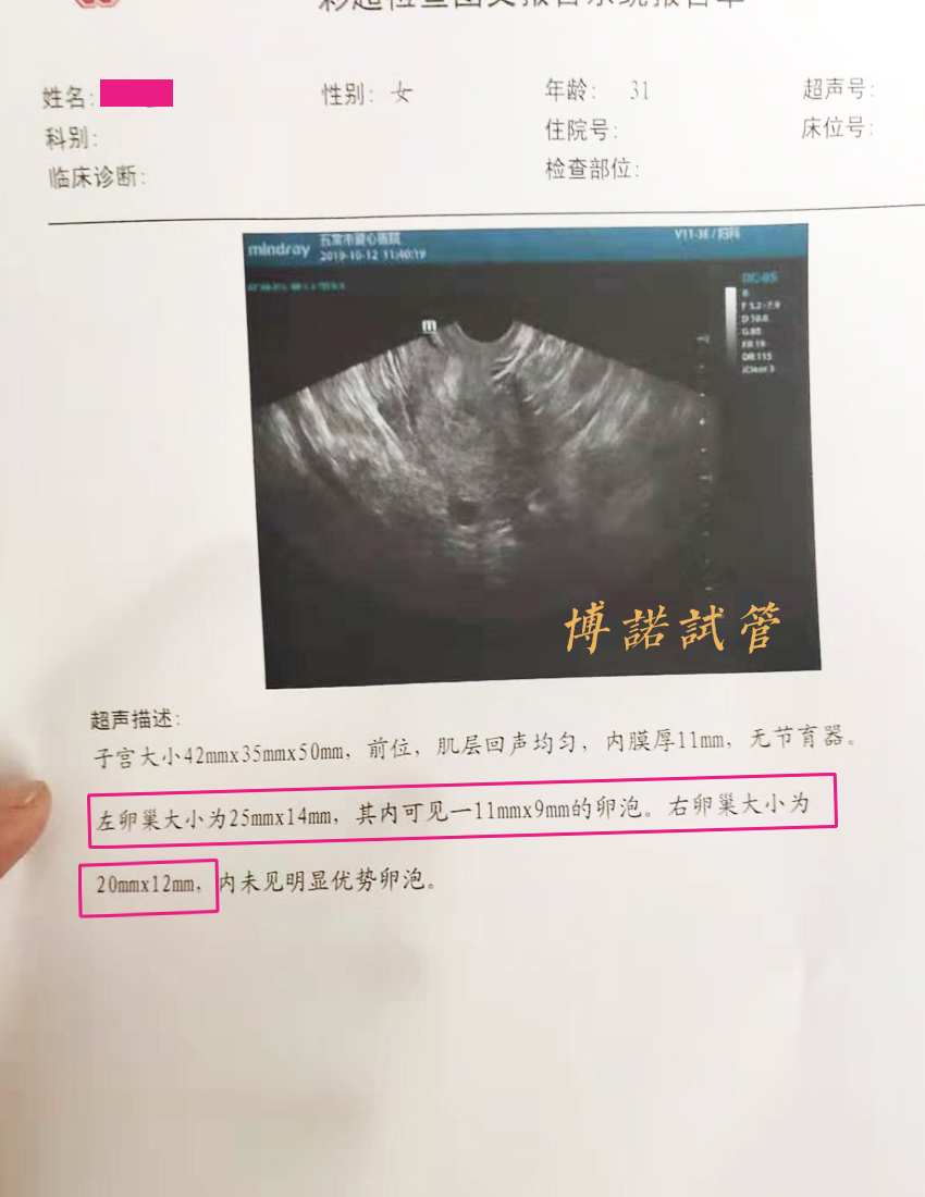 香港代孕中介.jpg