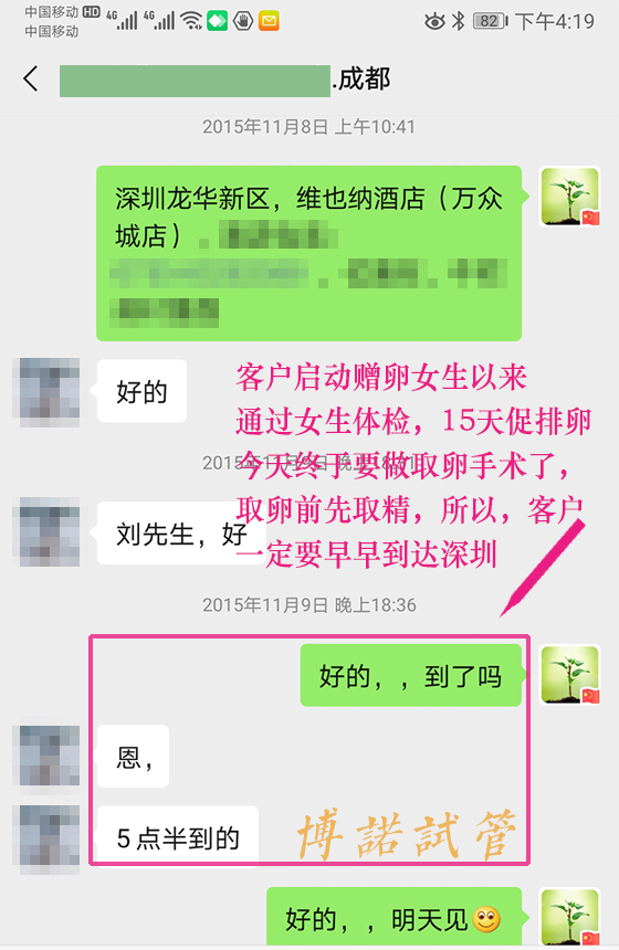 香港代母产子排名.jpg