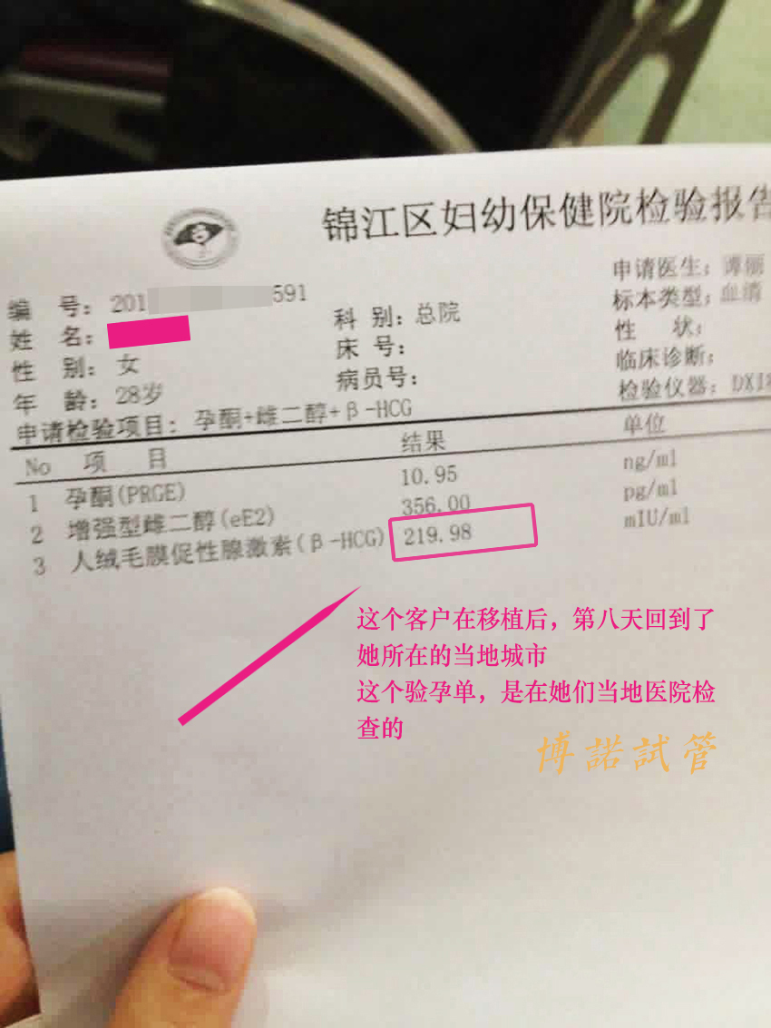 香港代孕试管婴儿.jpg