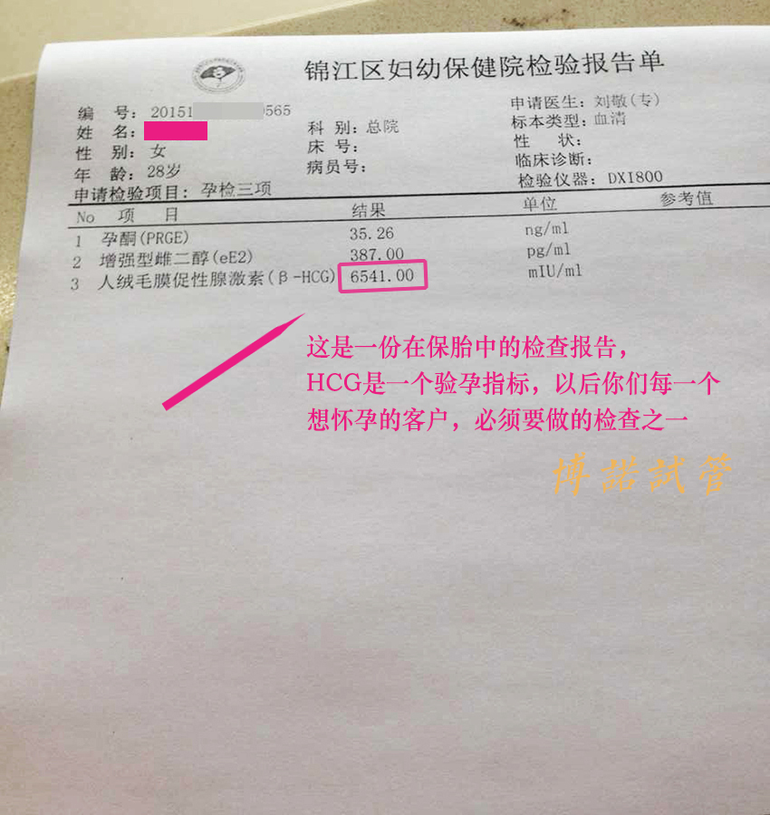 香港代母公司招聘.jpg