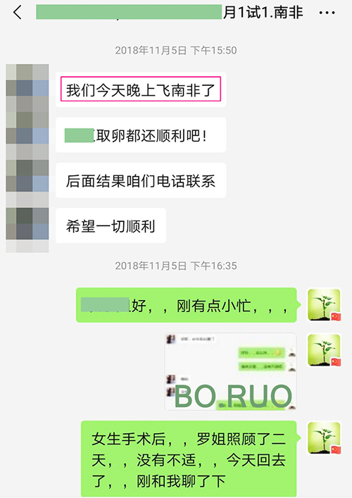 代孕服务 - 南非代孕咨询