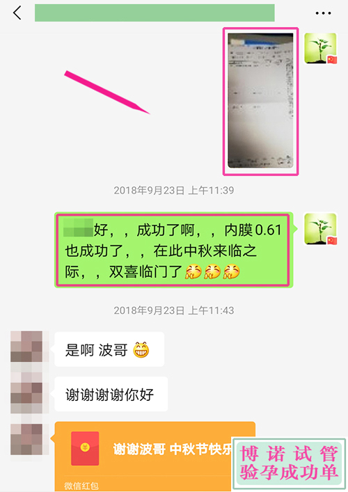 香港试管成功 - 内膜0.61成功