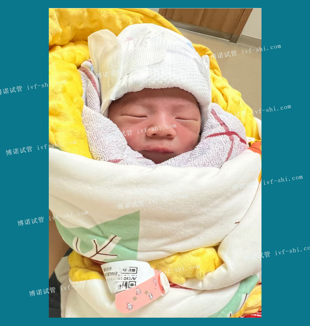 香港代孕中介.jpg