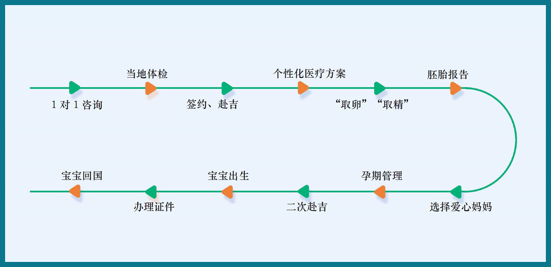 吉尔吉斯斯坦代母机构.jpg