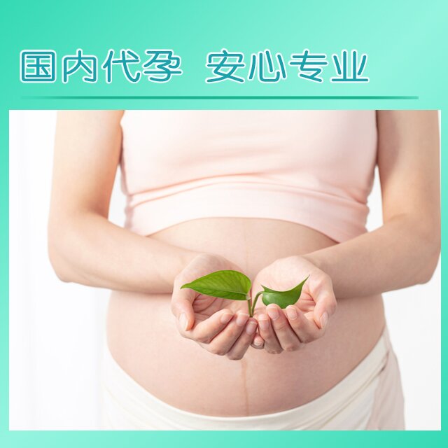 自精自卵 . 代母必看