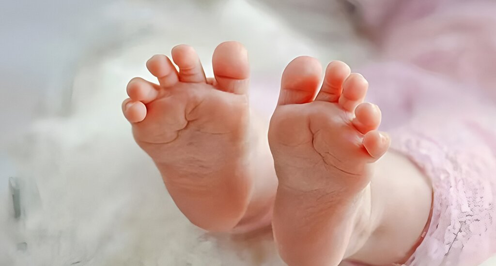 香港代母机构：代母机构助力女性实现愿望延续爱的传承