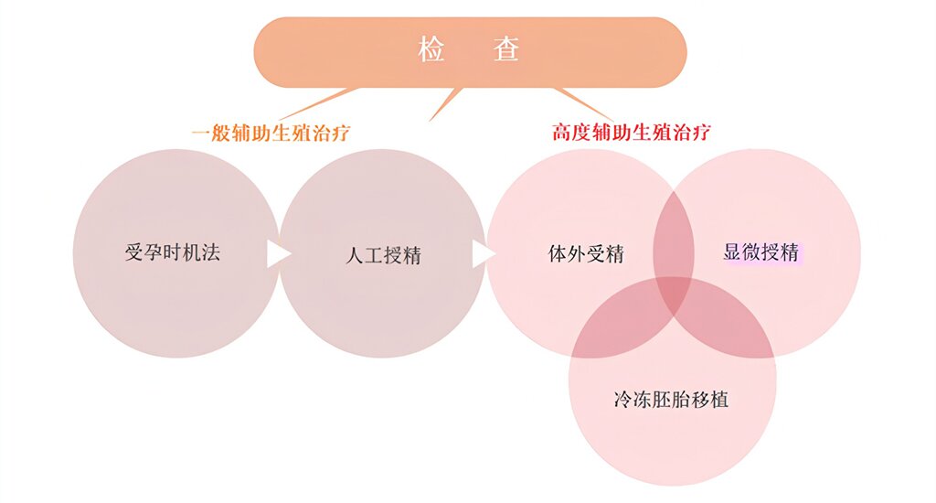 香港代母：让爱延续 让梦想重生