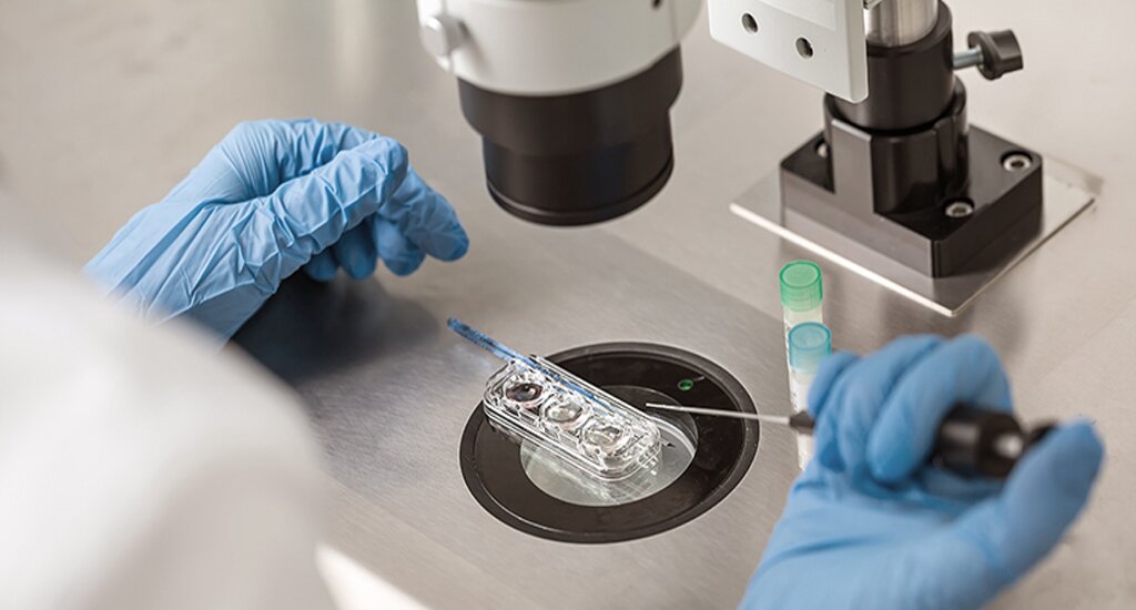 ​​香港代母机构：​我的试管逆袭之路，为家庭点亮希望之光