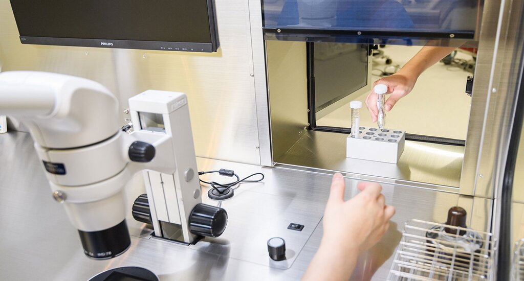 香港代母公司：让爱与生命重新被点亮