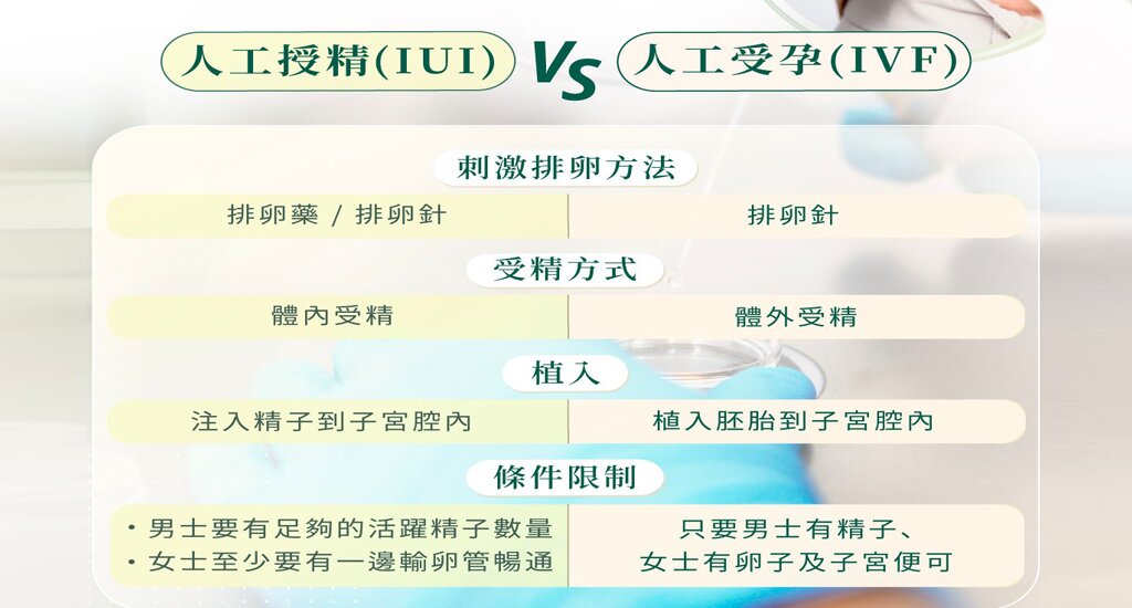 香港代母公司：香港代母公司成就母爱的奇迹