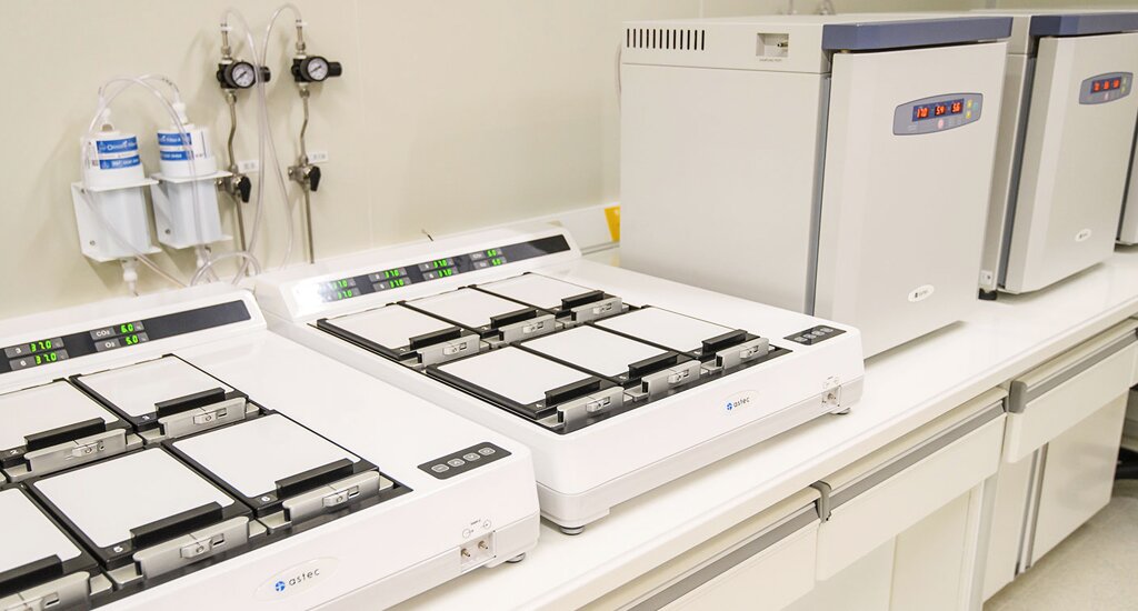 香港代母：跨越医学与情感的桥梁 让家庭梦想照进现实